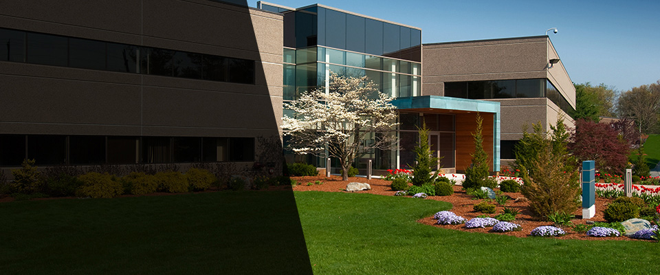 Inglewood Landscapers