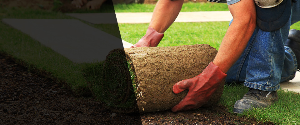 Inglewood Landscapers